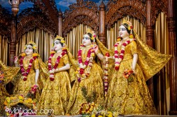 Daily Darshan