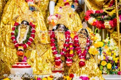 Daily Darshan