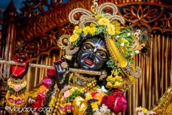Daily Darshan