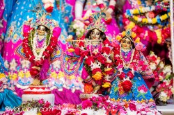 Daily Darshan