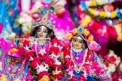 Daily Darshan