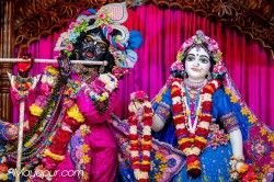 Daily Darshan