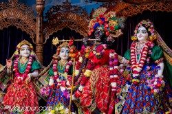 Daily Darshan