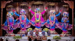 Daily Darshan