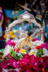 Daily Darshan