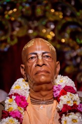 Daily Darshan
