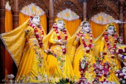 Daily Darshan