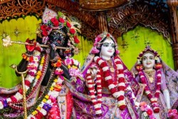 Daily Darshan