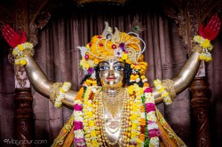 Daily Darshan