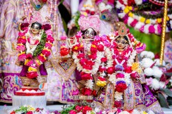 Daily Darshan