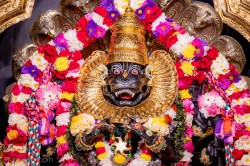 Daily Darshan