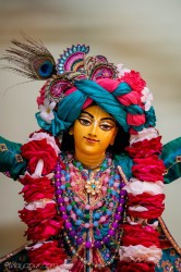 Daily Darshan