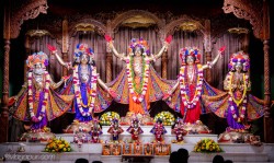 Daily Darshan