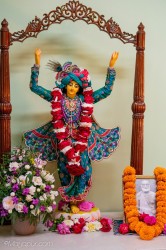 Daily Darshan