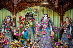 Daily Darshan