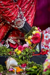 Daily Darshan