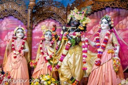 Daily Darshan