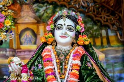 Daily Darshan