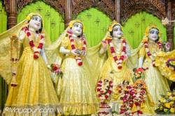 Daily Darshan