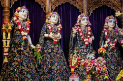 Daily Darshan
