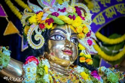 Daily Darshan