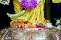 Daily Darshan