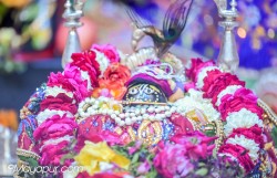 Daily Darshan