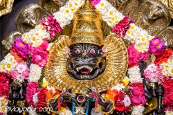 Daily Darshan