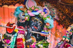 Daily Darshan