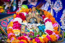 Daily Darshan