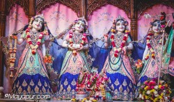 Daily Darshan