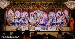 Daily Darshan