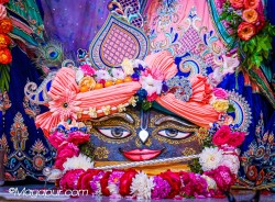 Daily Darshan