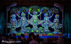 Daily Darshan
