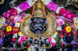 Daily Darshan