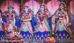 Daily Darshan