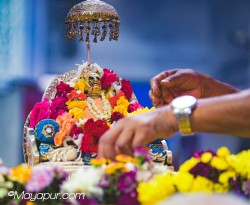 Daily Darshan