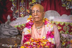 Daily Darshan
