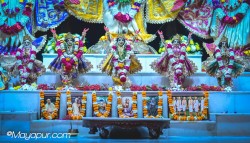 Daily Darshan