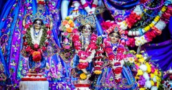 Daily Darshan
