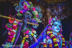 Daily Darshan