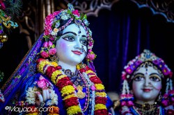 Daily Darshan