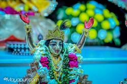 Daily Darshan