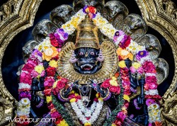 Daily Darshan