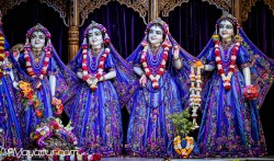 Daily Darshan