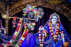 Daily Darshan
