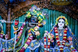 Daily Darshan