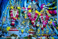 Daily Darshan