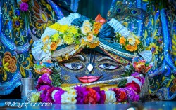 Daily Darshan