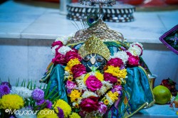 Daily Darshan